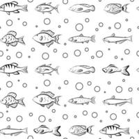 desenho de esboço de peixe do mar sem costura padrão, modelo de impressão isolado de vetor, papel de parede subaquático de aquário gráfico, papel de embrulho preto simples estilo plano. vetor