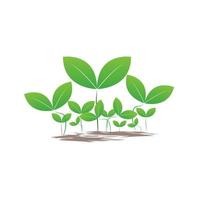 grupos de design de semente verde usado no logotipo da planta e design de modelo de itens de fazenda, estilo de ícone de semente verde ecologia, vetor e ilustração.