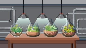 bonitos terrários de vidro com suculentas em laboratório vetor