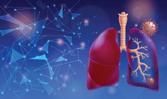 Ilustração 3D de pulmões humanos parcialmente translúcidos para destacar os ramos do sistema respiratório dentro dos pulmões com células pulmonares de coronavírus, com um histórico de tecnologia moderna. vetor