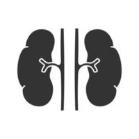 ícone de glifo de rins humanos. sistema urinário. símbolo de silhueta. espaço negativo. ilustração vetorial isolada vetor