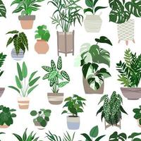 padrão perfeito de plantas de interior, plano desenhado à mão vetor