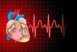 batimentos cardíacos com gráfico de frequência cardíaca vetor