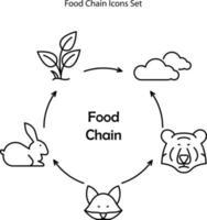 banner educacional para crianças sobre a cadeia alimentar na natureza. diagrama de padrão de comida de vida selvagem. vetor