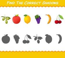 encontre as sombras corretas das frutas dos desenhos animados. jogo de busca e correspondência. jogo educativo para crianças e bebês da pré-escola vetor