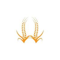 vetor de modelo de logotipo de trigo de agricultura