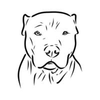 desenho vetorial de pit bull terrier vetor
