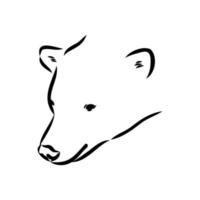 desenho vetorial de urso polar vetor