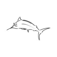 desenho vetorial de peixe marlin vetor
