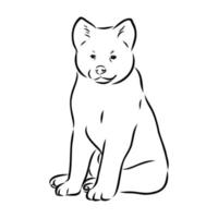 desenho vetorial de cachorro akita inu vetor
