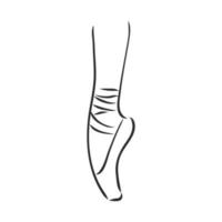 desenho vetorial de sapatilhas de ponta vetor
