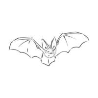 desenho vetorial de morcego vetor
