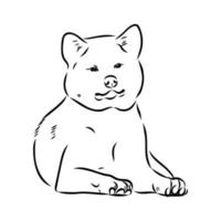 desenho vetorial de cachorro akita inu vetor