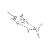 desenho vetorial de peixe marlin vetor