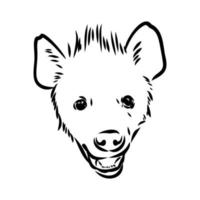 desenho vetorial de hiena vetor