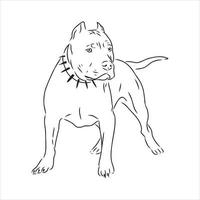 desenho vetorial de pit bull terrier