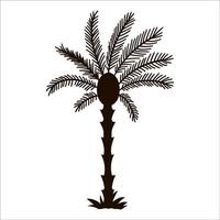 silhueta de palmeira tropical de vetor. ícone de folhagem da selva preta. planta exótica desenhada de mão isolada no fundo branco. ilustração de vegetação de verão preto. vetor