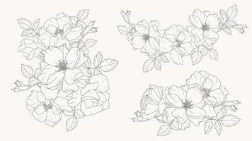 doodle linha arte coleção de elementos de buquê de flores rosa vetor