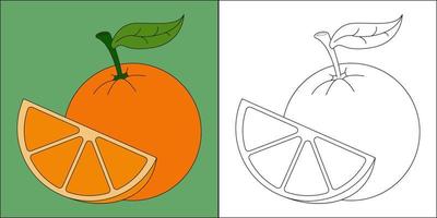 fruta laranja adequada para ilustração vetorial de página para colorir infantil vetor