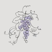 ilustração vetorial de uva para vinho na cor azul vetor