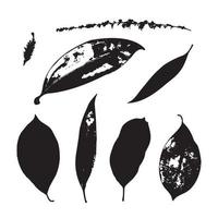 conjunto de folhas tropicais. silhueta. ilustração vetorial de folha preta vetor