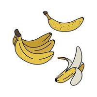 conjunto de ícones de banana. cachos de frutas, banana madura e aberta. símbolo em estilo simples. ilustração vetorial em fundo branco vetor