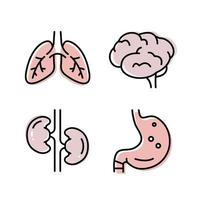 ícone plano de intestinos. coleção de símbolos de contorno. conjunto gráfico de órgãos humanos cérebro pulmões estômago rins. ilustração vetorial em fundo branco vetor