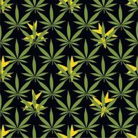 padrão de cannabis sem costura deixa a natureza em fundo preto vetor