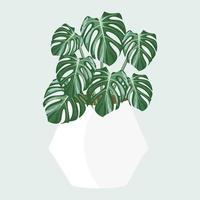 monstera em desenho vetorial de pote. vetor