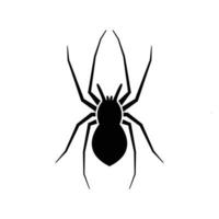 modelo de design de ícone de aranha vetor