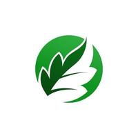 ícone de folhas. deixa o logotipo do vetor. deixa a ilustração. logotipo da natureza. sinal de símbolo verde eco. vetor