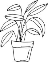 planta de casa em um ícone de pote desenhado à mão. , minimalismo, escandinavo, monocromático, nórdico. adesivo spathiphyllum planta flor vetor