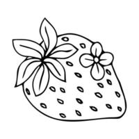 ícone de doodle de contorno desenhado à mão de morango. desenho de esboço vetorial de baga saudável - morango cru fresco para impressão, web, mobile e infográficos isolados no fundo branco. vetor