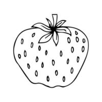 ícone de doodle de contorno desenhado à mão de morango. desenho de esboço vetorial de baga saudável - morango cru fresco para impressão, web, mobile e infográficos isolados no fundo branco. vetor