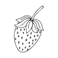 ícone de doodle de contorno desenhado à mão de morango. desenho de esboço vetorial de baga saudável - morango cru fresco para impressão, web, mobile e infográficos isolados no fundo branco. vetor