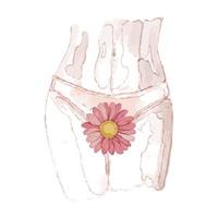 mulher de vetor aquarela de calcinha branca com flor vermelha na zona do biquíni, close-up. ginecologia, menstruação, o conceito de saúde genital. conceito de menstruação e saúde da mulher.