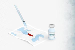 vacinação da geórgia, injeção com vacina covid-19 no mapa da geórgia.