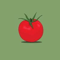 vetor de tomate fruta