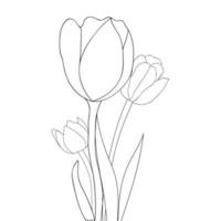 flor desabrochando com traço único desenhando arte gráfica de tulipa linda natural vetor