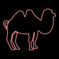 imagem de estilo plano de ilustração vetorial de cor vermelha camelo neon vetor