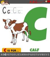 letra c do alfabeto com personagem de animal de fazenda de bezerro de desenho animado vetor