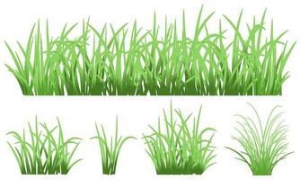 grama verde isolada vetor