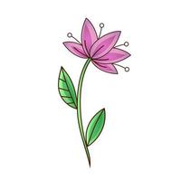 desenho vetorial de uma flor de lírio decorativo com estames e folhas. ilustração em vetor plana. ícone, adesivo. ilustração dos desenhos animados.