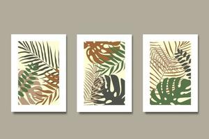 conjunto de cartazes coleção de arte de parede botânica moderna vetor
