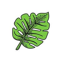 um simples ícone de folha de monstro tropical. elemento de estilo doodle desenhado à mão. monstro. trópicos, verão. ilustração vetorial isolada vetor