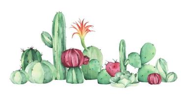 pintura em aquarela de cactos e plantas suculentas. vetor