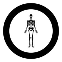 ícone humano esqueleto em círculo redondo imagem de ilustração vetorial de cor preta estilo de contorno sólido vetor