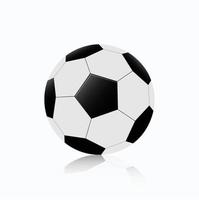 bola de futebol isolada em fundo branco vetor