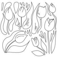 doodle conjunto de vetores de tulipas, flores e elementos de doodle para design