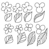 elementos vetoriais simples para design, contorno de flores e folhas vetor